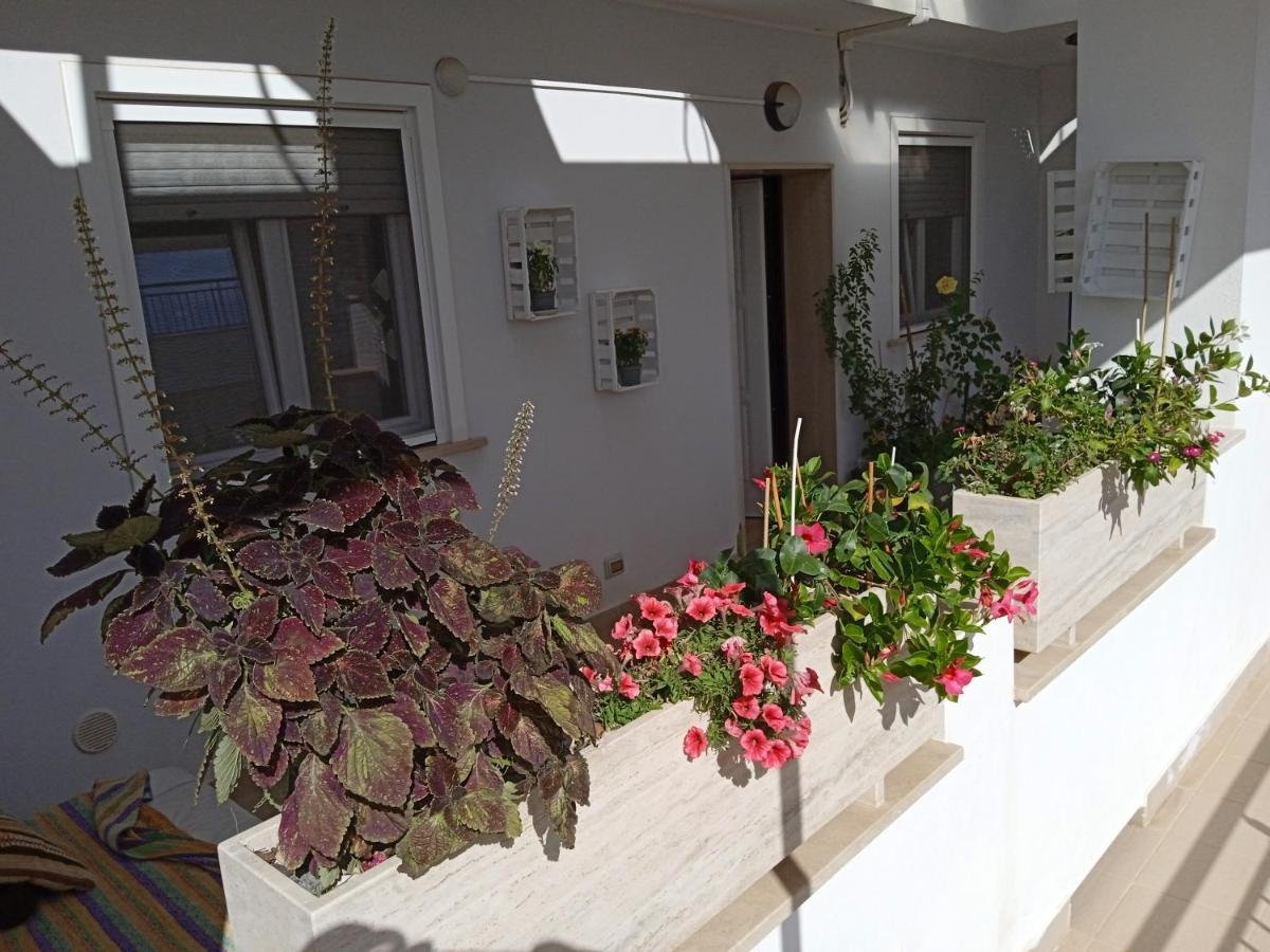Appartement La Casa Di Elena à Sannicandro di Bari Extérieur photo