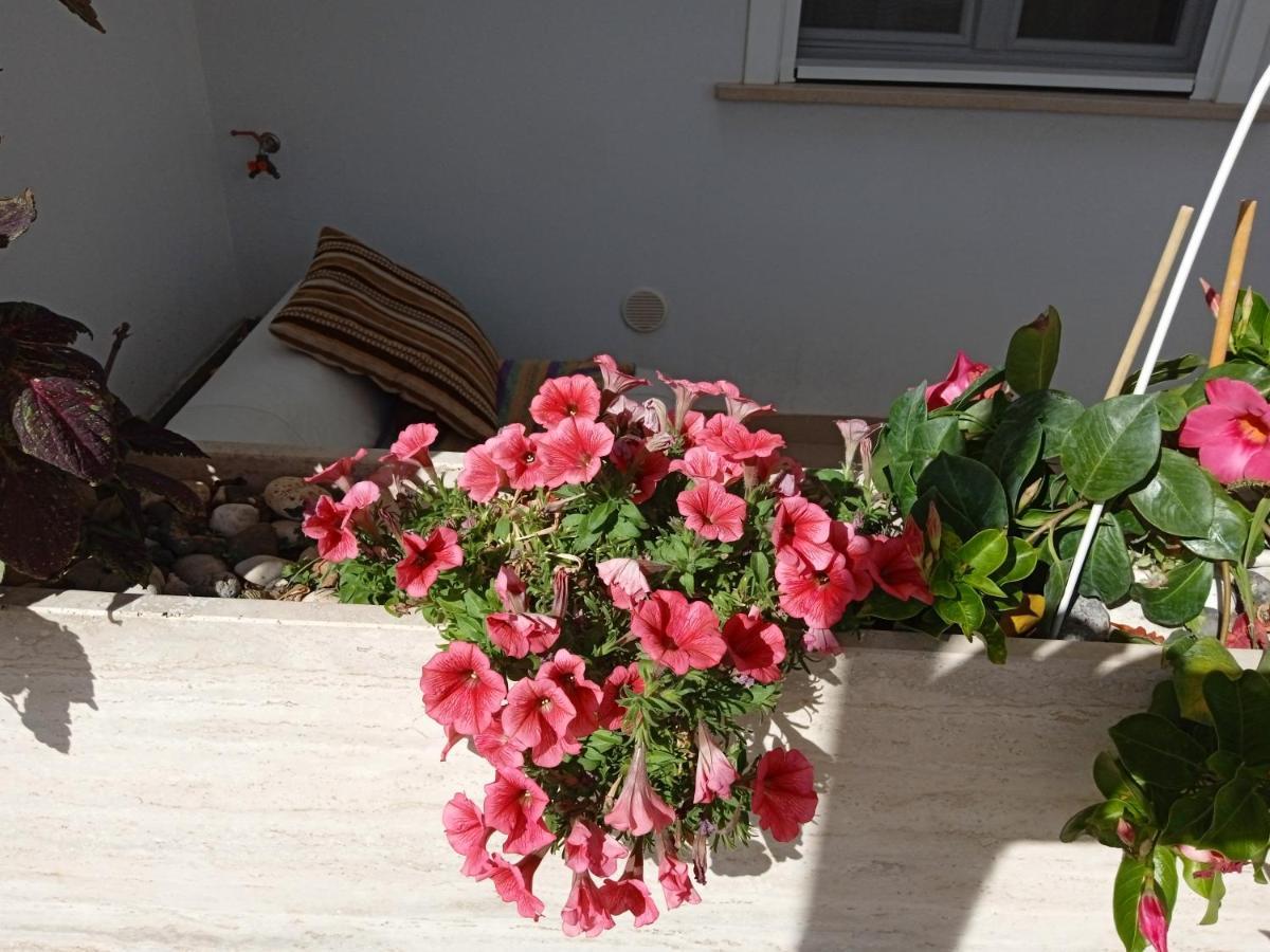 Appartement La Casa Di Elena à Sannicandro di Bari Extérieur photo