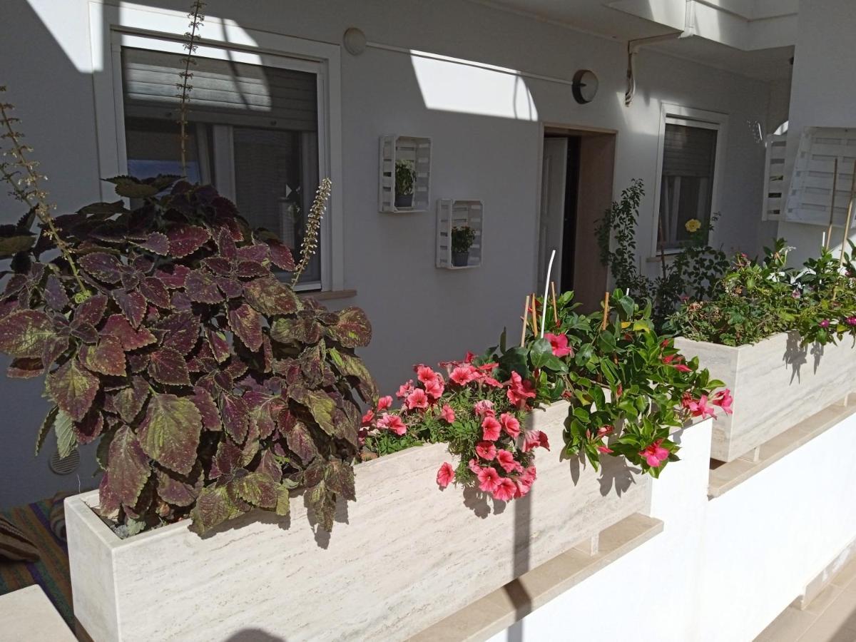 Appartement La Casa Di Elena à Sannicandro di Bari Extérieur photo